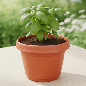 Austin Planter suitable for both indoor and outdoor setups.