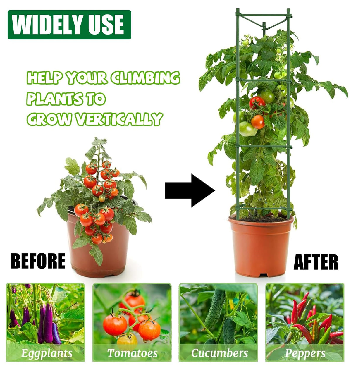 AUTOHAOL sturdy steel plant cages provide durable garden support for vegetables.