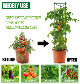 AUTOHAOL sturdy steel plant cages provide durable garden support for vegetables.