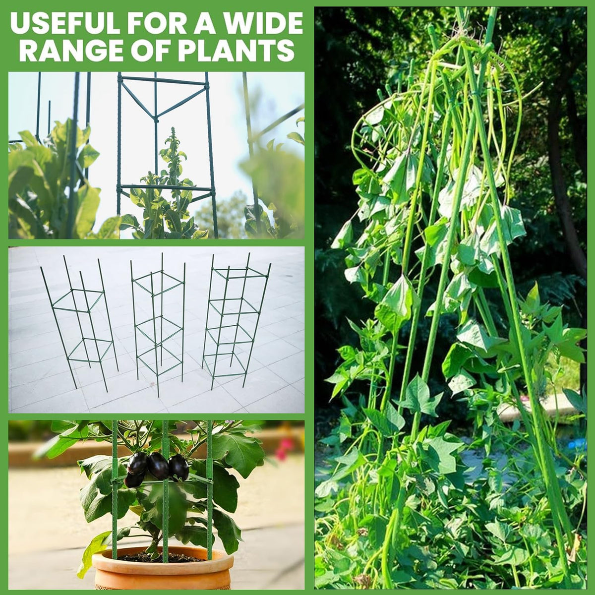 AUTOHAOL tomato cage installed around tomato plants promoting organized growth.