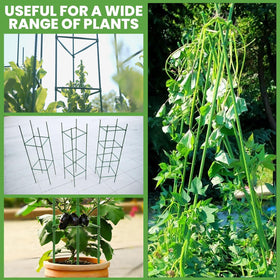AUTOHAOL tomato cage installed around tomato plants promoting organized growth.