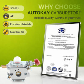 AUTOKAY carb kit includes carburetor, gaskets, lines, filter, primer bulb, tool.