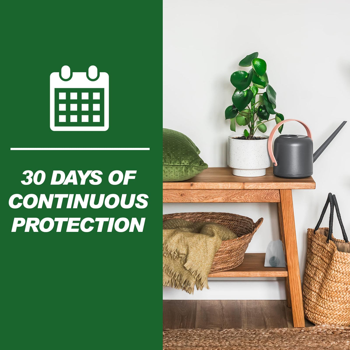 Autonex repellent near basement or garage entry for safer defense.