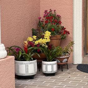 Autopromake 5 Pack floor-friendly base protects hardwood and carpet.