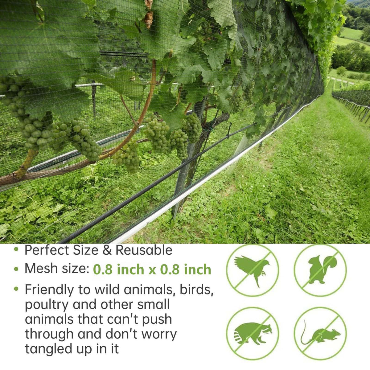 Avagiaforu deer barrier netting deters large nibblers from garden trees.