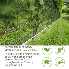 Avagiaforu deer barrier netting deters large nibblers from garden trees.