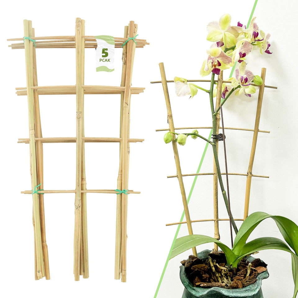 Avalution 16-inch bamboo trellis indoors supports upright growth for potted plants.