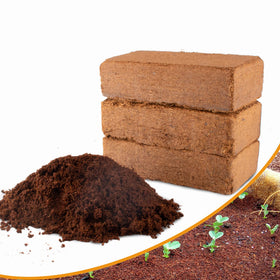 Avalution 3-pack coco coir bricks expand into a versatile growing medium.