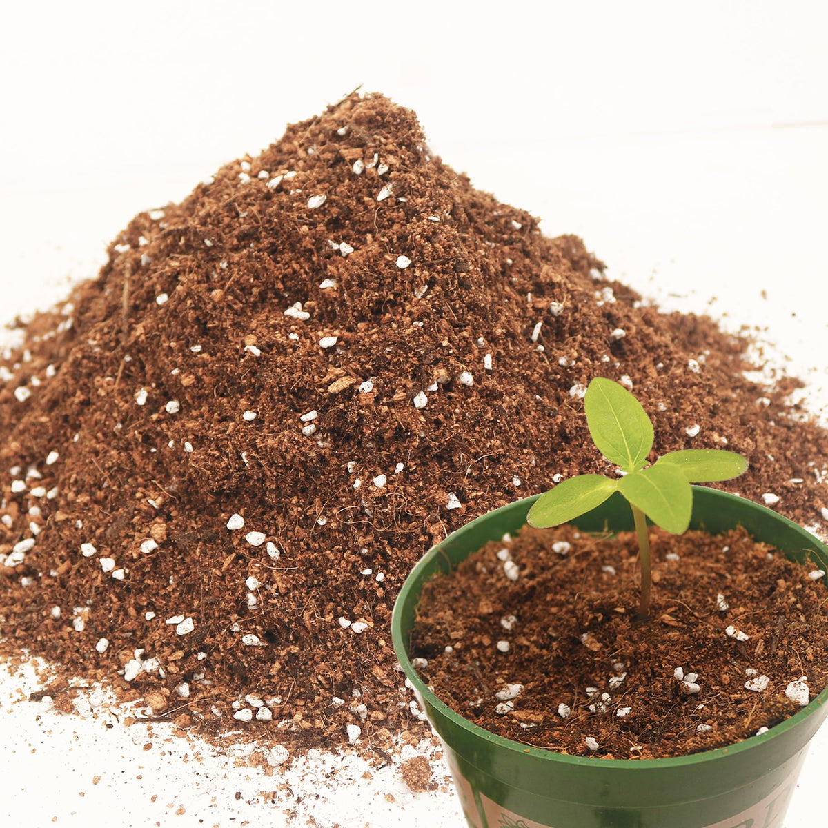 Avalution 3QT potting soil bag front view for ready indoor plant setups
