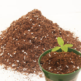 Avalution 3QT potting soil bag front view for ready indoor plant setups