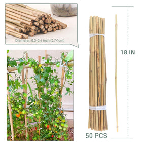 Avalution bamboo stake easy installation slides into soil for quick garden setup.