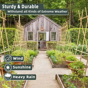 Avalution bamboo stake supports eggplant and beans to keep plants upright.