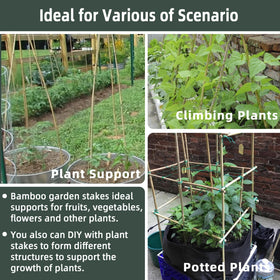 Avalution bamboo stake garden trellis structure enables easy DIY plant frameworks.