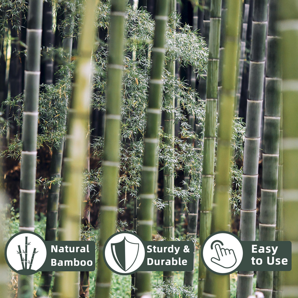 Avalution bamboo stake tomato support helps vines climb with durable construction.