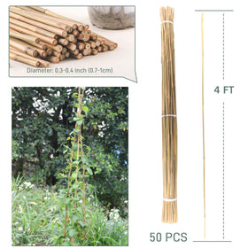 Avalution bamboo stakes for indoor-outdoor use with natural durability.