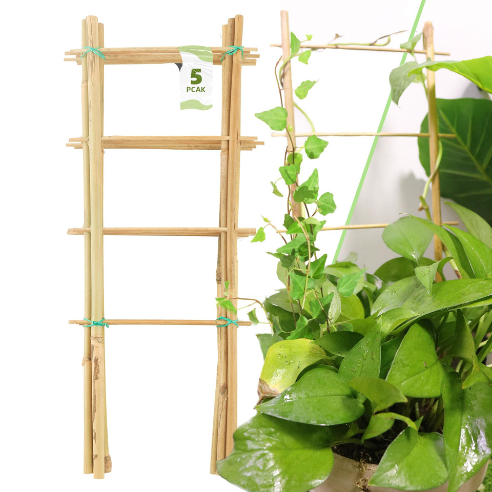 Avalution bamboo trellis 16-inch plant support guiding indoor climbing ivy with natural charm.
