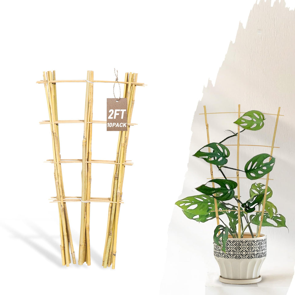 Avalution bamboo trellis 2ft garden ladder supports vertical growth for potted plants.