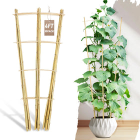 Avalution bamboo trellis 4ft ladder design supports climbing plants in pots.
