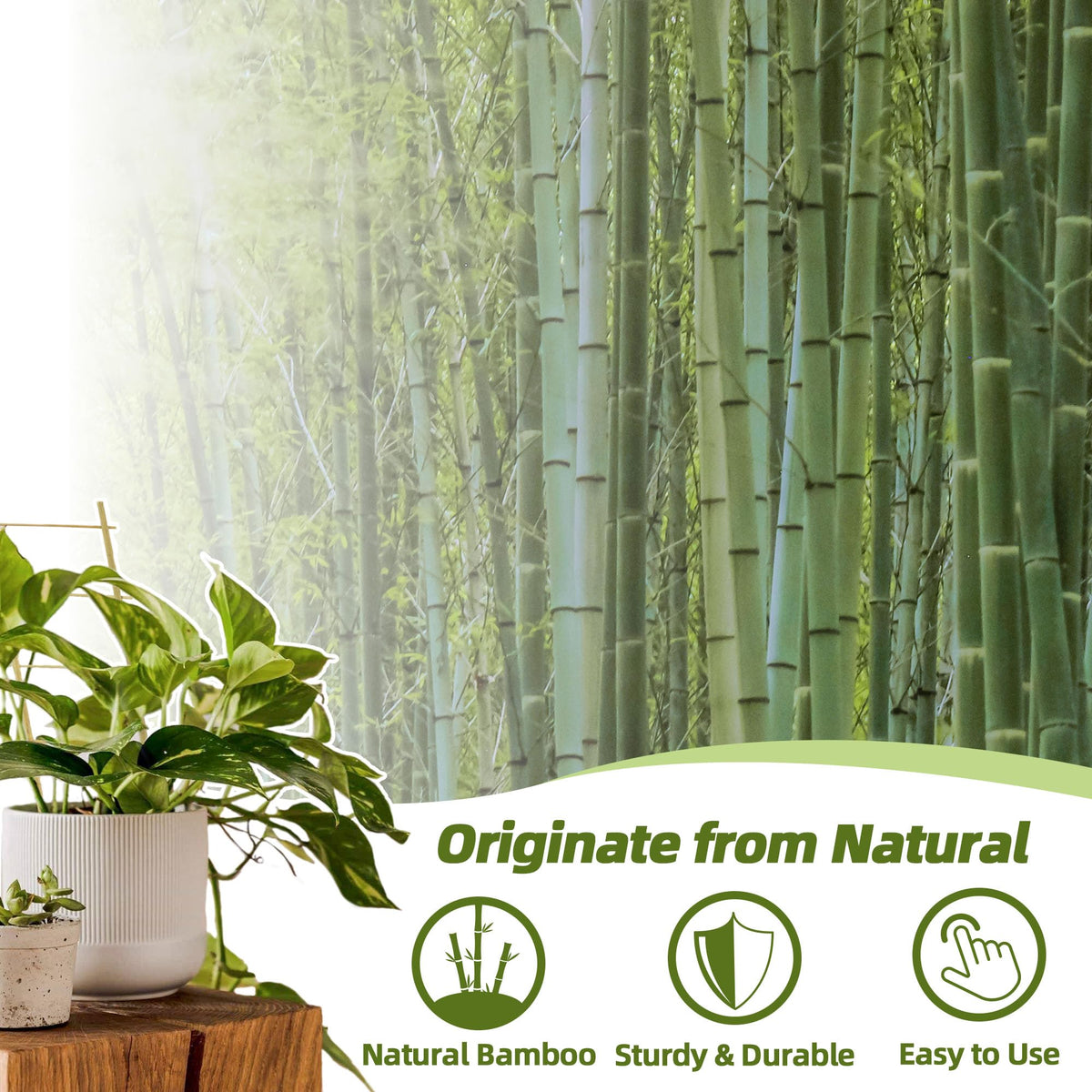 Avalution bamboo trellis ivy focus enables vertical growth with a tidy decorative touch.