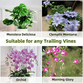 Avalution bamboo trellis for monstera and vines supports growth with natural aesthetics.