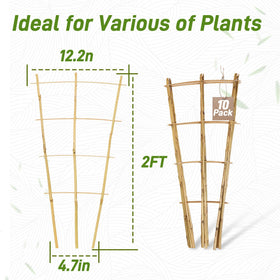 Avalution outdoor balcony garden trellis adds natural texture while guiding flowering vines.