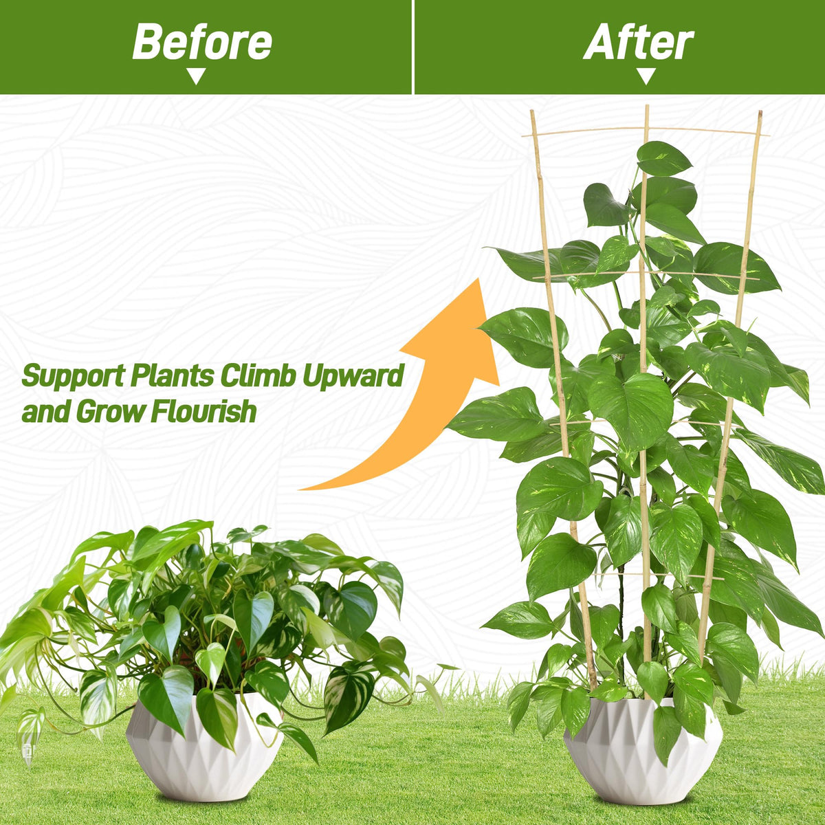 Avalution bamboo trellis closeup shows natural texture and durable build for houseplants.