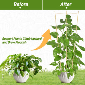 Avalution bamboo trellis closeup shows natural texture and durable build for houseplants.