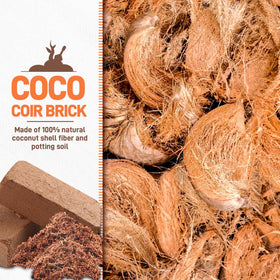 Avalution coco coir bricks 8x4 inch size ready for quick hydration and use.