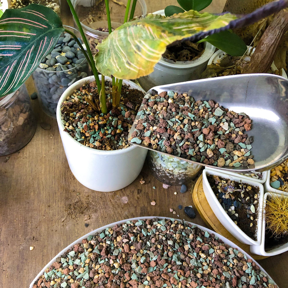 Avalution color-mixed lava rock pack adds visual appeal to DIY projects