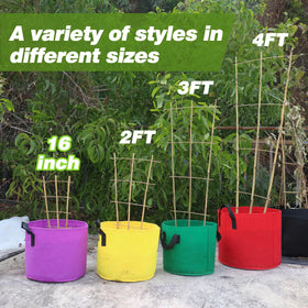 Avalution easy-install trellis in pot enables quick setup for climbers
