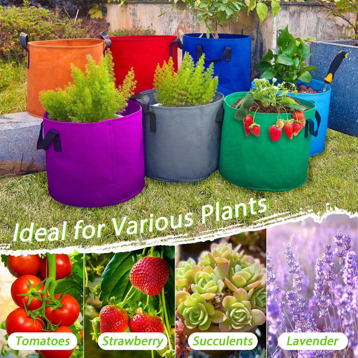 No assembly required and easy storage for Avalution grow bags after harvest.