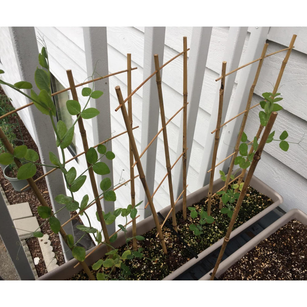 Avalution eco-friendly garden trellis crafted from bamboo for sustainable decor