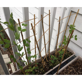 Avalution eco-friendly garden trellis crafted from bamboo for sustainable decor