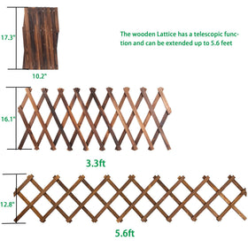 Avalution expandable lattice trellis garden wall for vertical planting