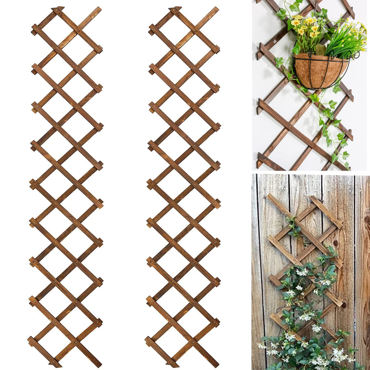 Avalution Extensible fence panel for cucumber trellising.