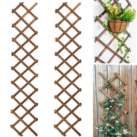 Avalution Extensible fence panel for cucumber trellising.