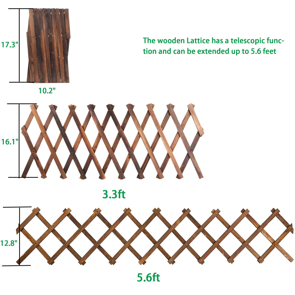 Avalution Extensible lattice frame supports vines for organized growth.