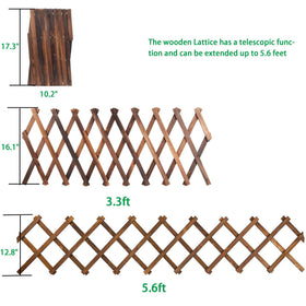 Avalution Extensible lattice frame supports vines for organized growth.