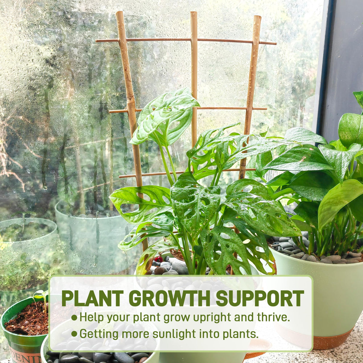 Avalution fan-shaped bamboo trellis close-up showing durable support for climbers