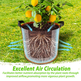 Avalution grow bags highlighting 360-degree ventilation for healthy roots