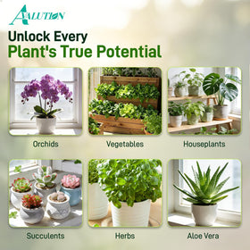 Avalution indoor planter setup with potting mix for healthy roots