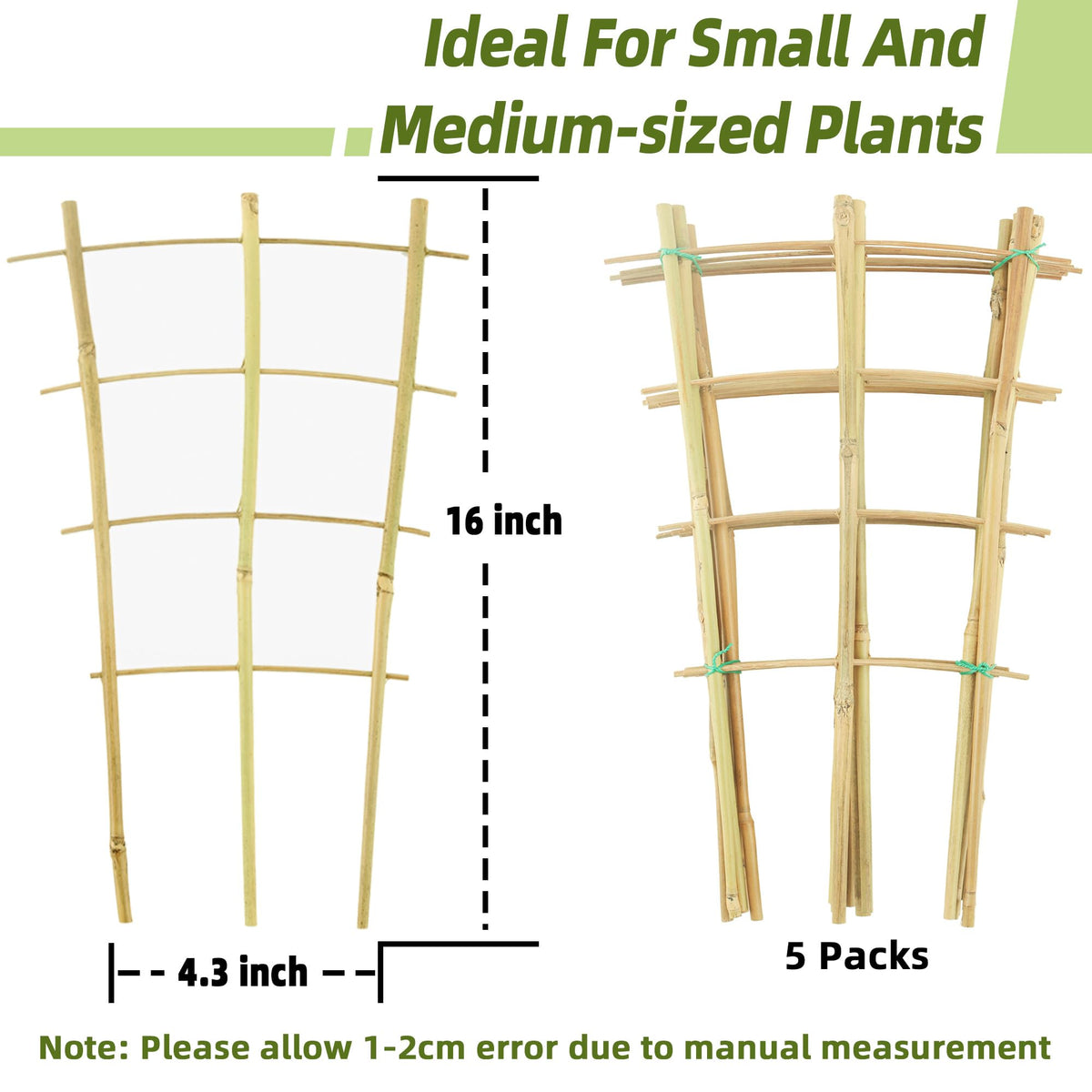 Avalution ivy and monstera use trellis to guide vertical growth.