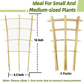 Avalution ivy and monstera use trellis to guide vertical growth.