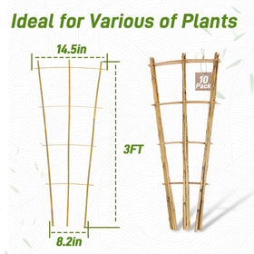 Avalution lightweight durable trellis ideal for vines and flowering climbers.