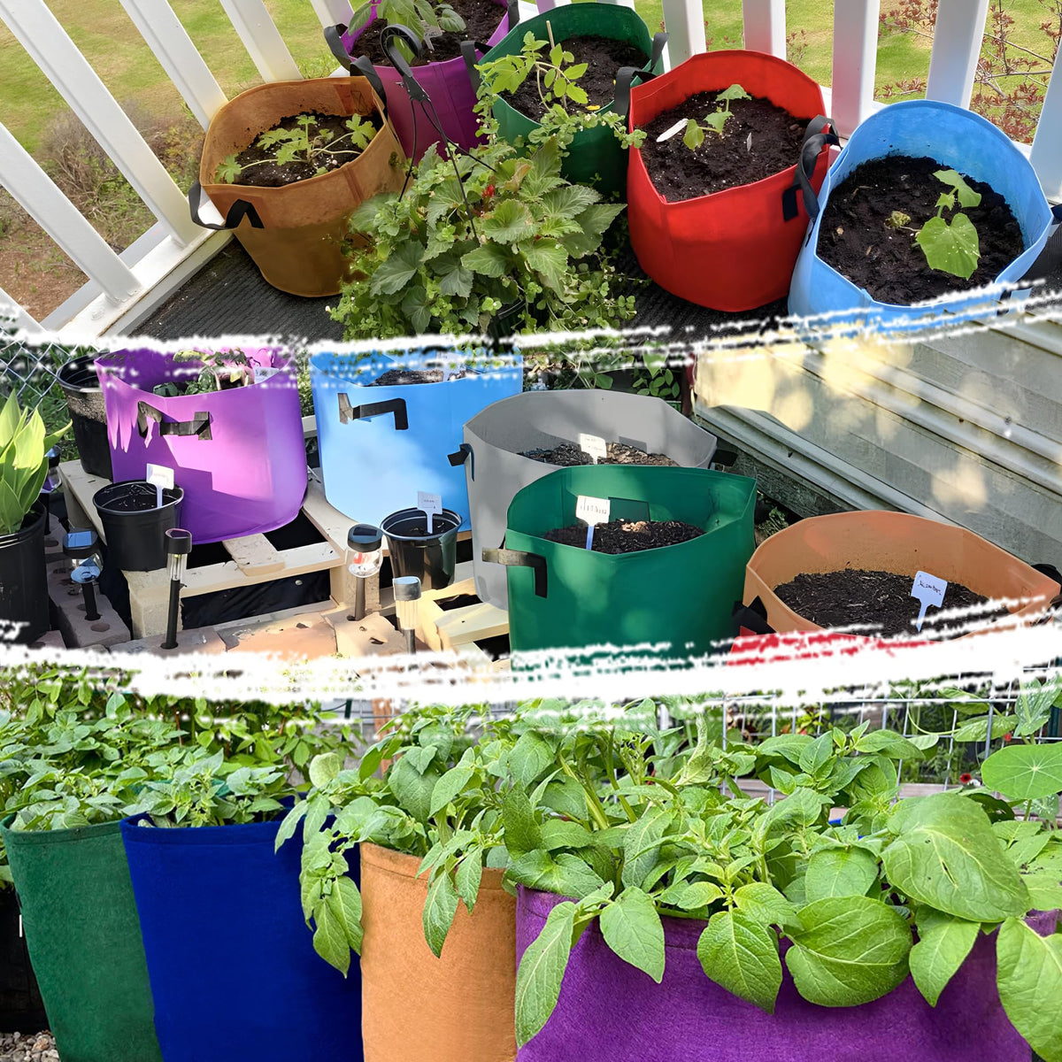 Multi-use garden bags from Avalution suit flowers, fruits, and vegetables.