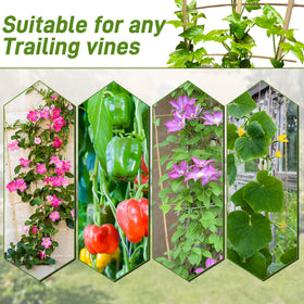 Avalution natural bamboo trellis easy to install in pots and beds.
