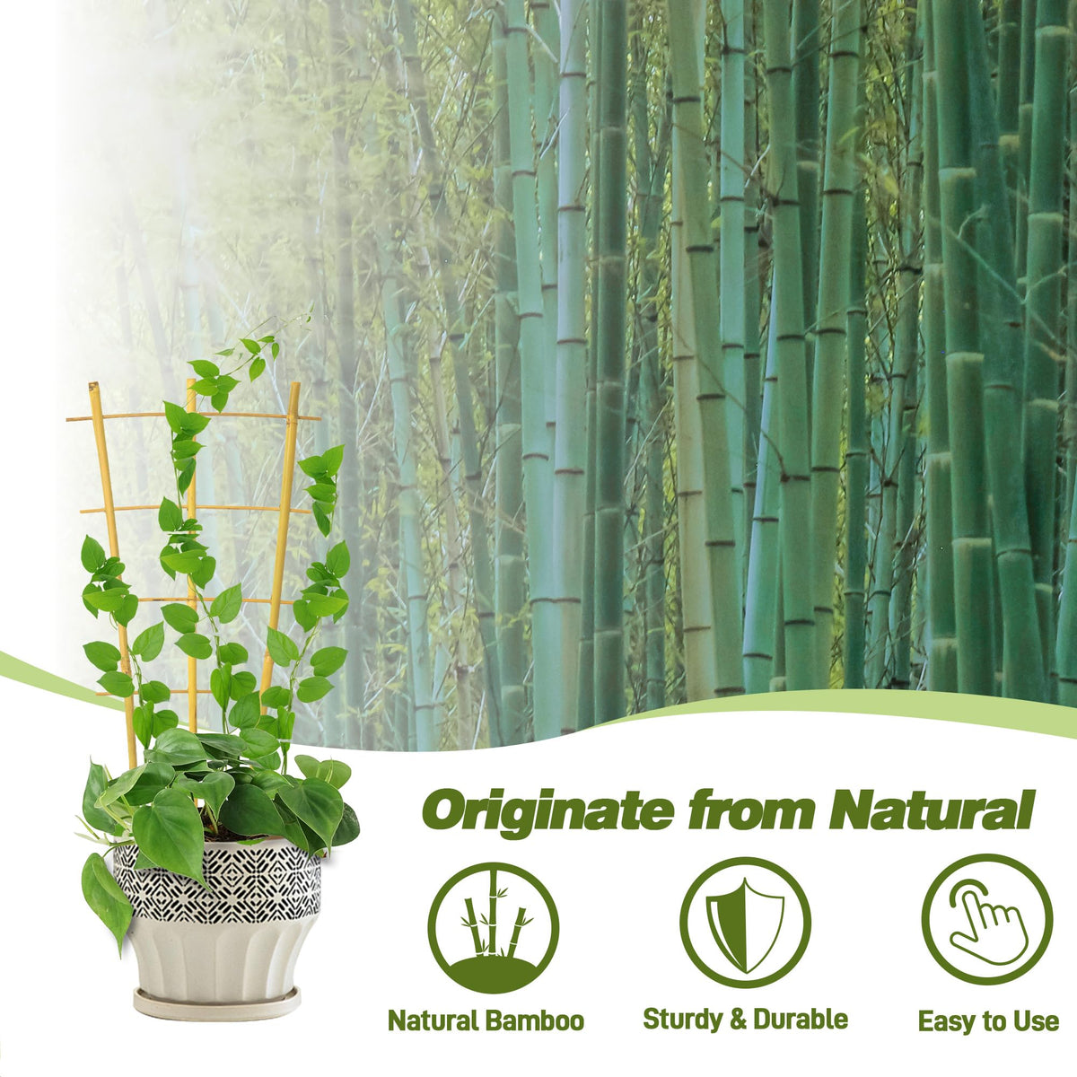 Avalution natural bamboo trellis durable design blends with garden aesthetics