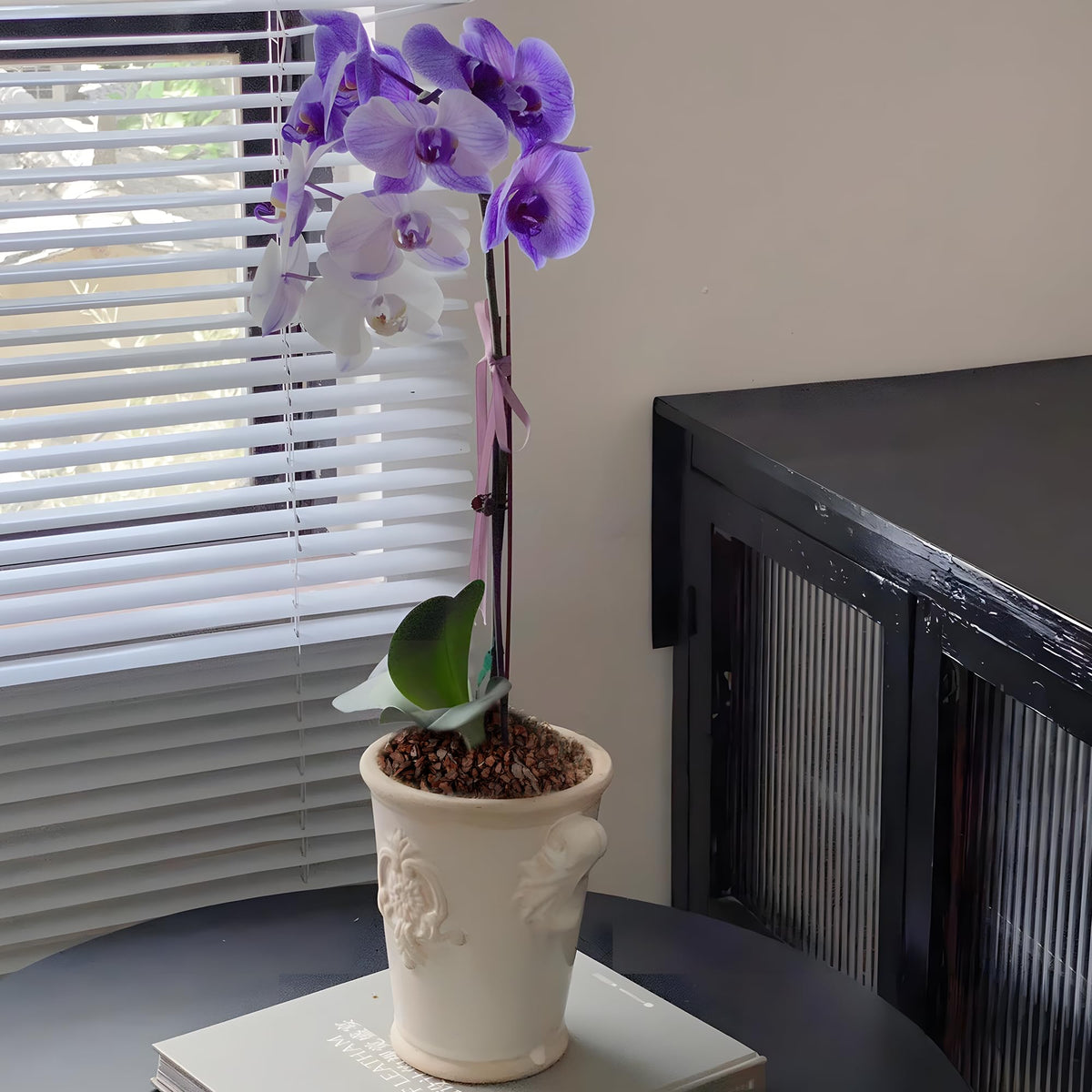 Avalution Orchid Bark 29QT packaging supports easy potting and tidy repotting.