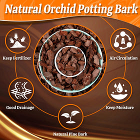 Avalution Orchid Bark aeration and drainage keep roots airy and prevent waterlogging.