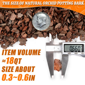 Avalution Orchid Bark drainage and aeration emphasis suggests easy plant care.